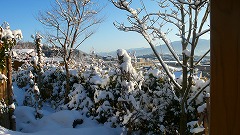 s-yamagata1.jpg